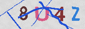 キャプチャ画像
