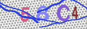 キャプチャ画像